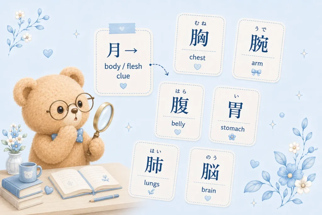 Japanese body part kanji using 月 as a body and flesh clue
