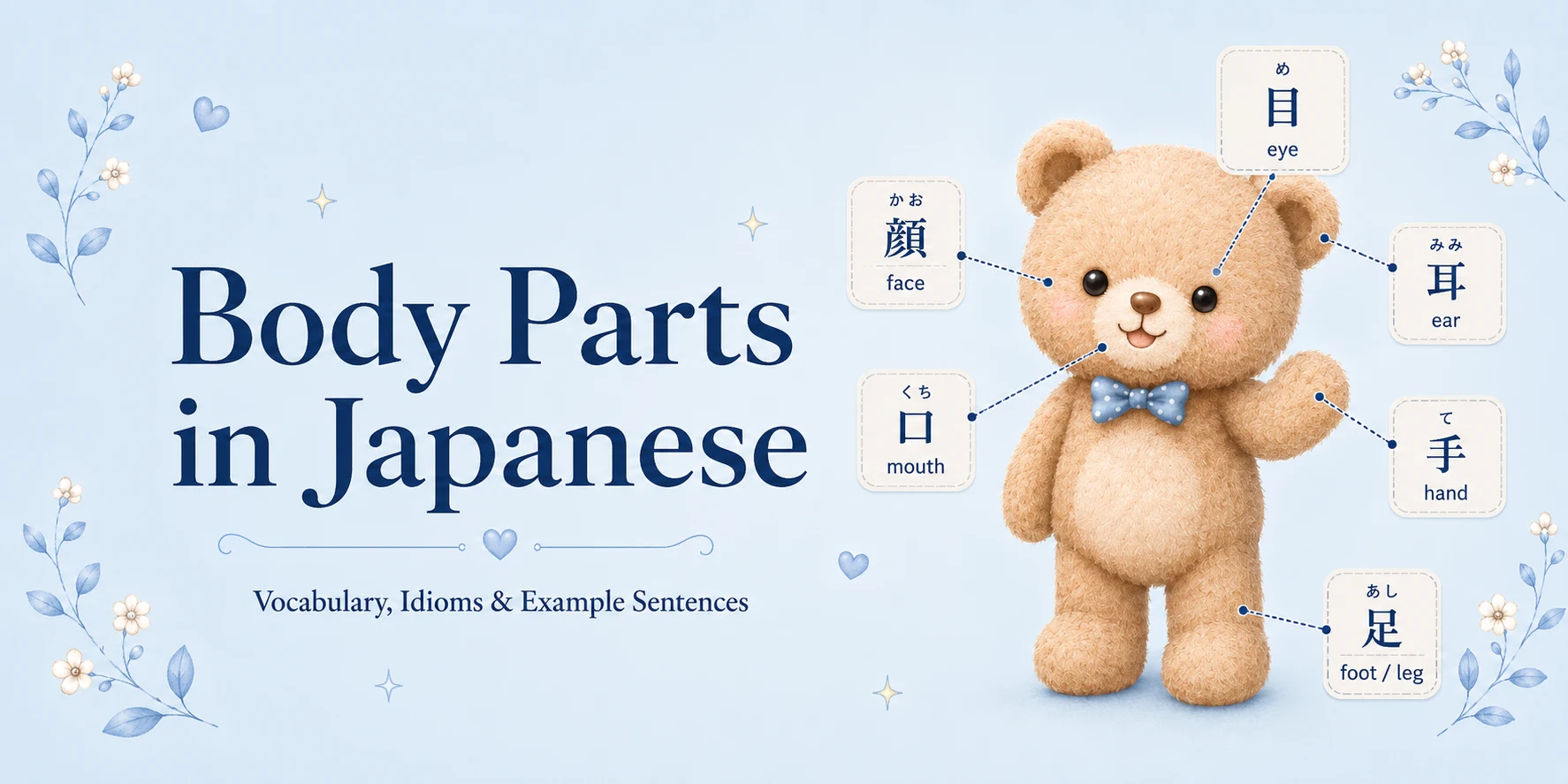 Body Parts in Japanese: 50+ Words, Idioms, Example Sentences + Free PDF