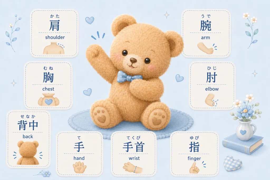 Upper body parts in Japanese with words for shoulder, chest, arm, hand, and finger