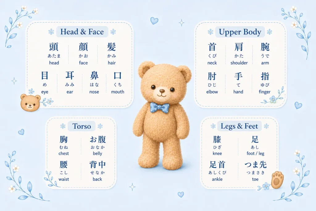 Japanese body parts vocabulary grouped by head, upper body, torso, legs, and feet